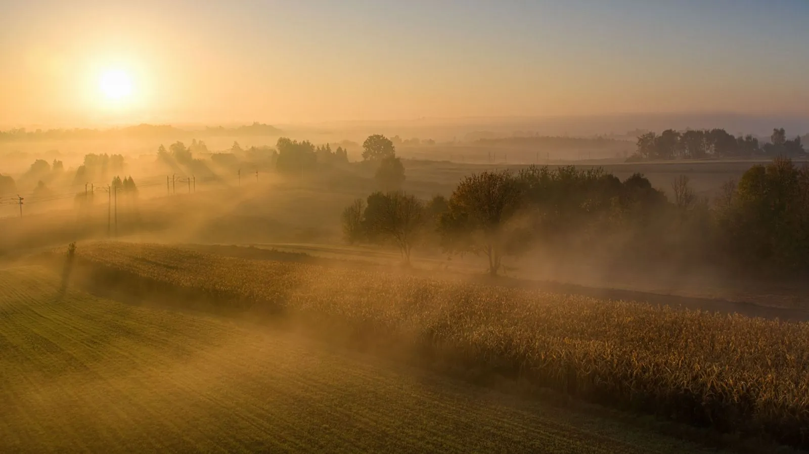 Farmland at dawn with mist lying in the hollows